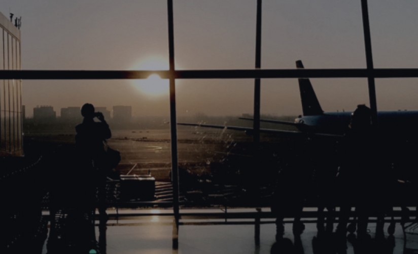 Immigration Showcase v2