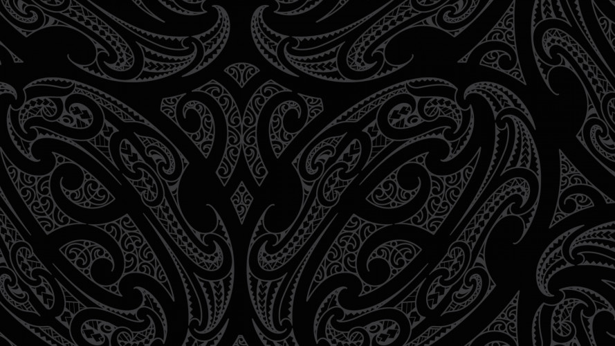 Insight Te Reo Social 1200x675